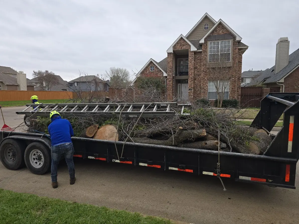 Expert Crown Reduction with proper safety equipment in Van Wert